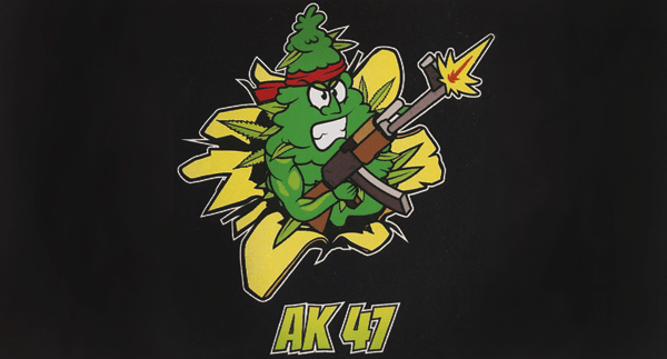 AK-47 - 10 Grams