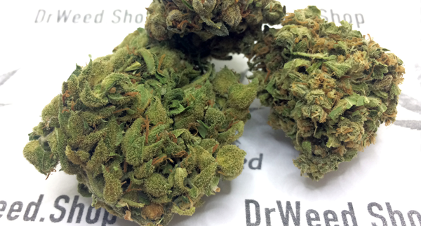 Random Weed - 4 Grams