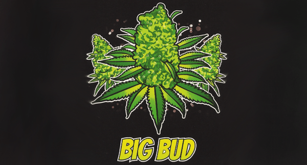 Big Bud - 10 Grams