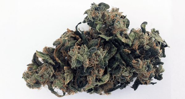 Blueberry Cookies - 10 Grams